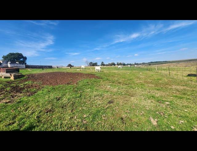 FARM FOR SALE IN WITFONTEIN